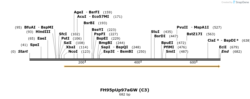 141050_map