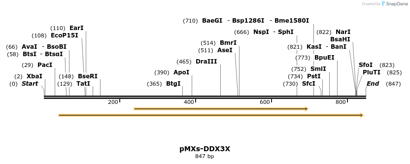 141057_map