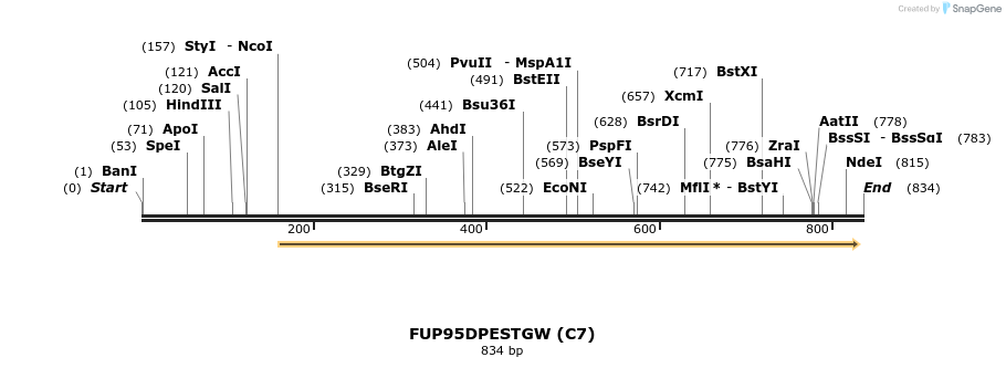 141060_map