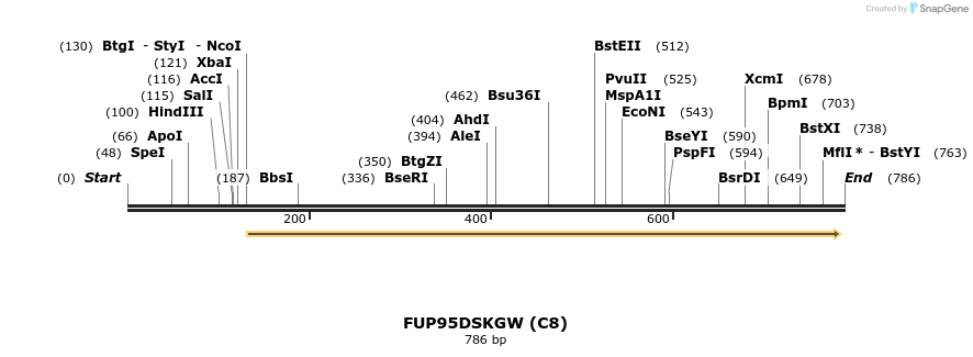 141061_map