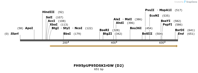141062_map