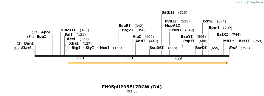 141064_map