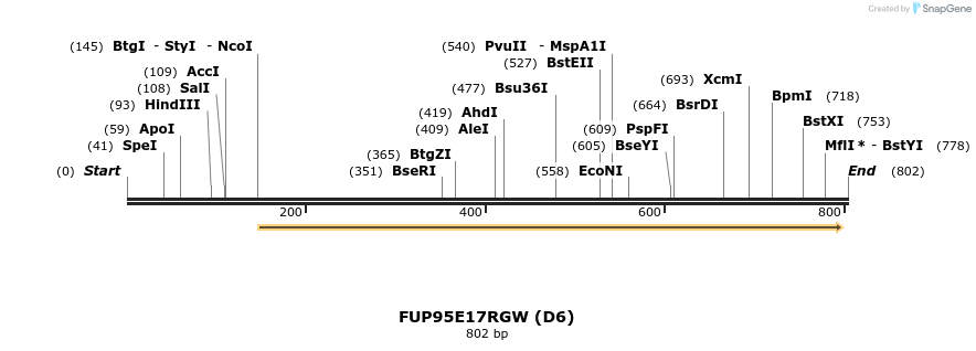 141066_map