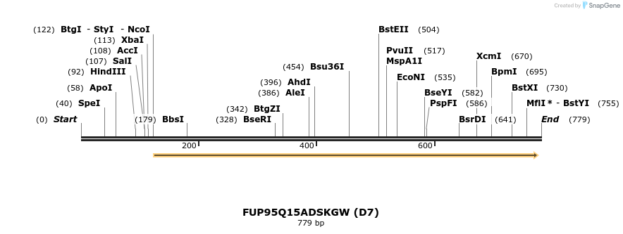 141067_map