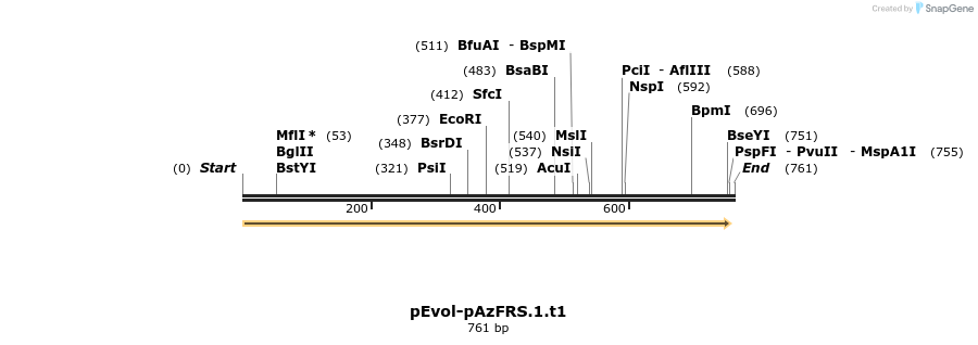 141068_map
