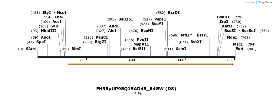 141071_map