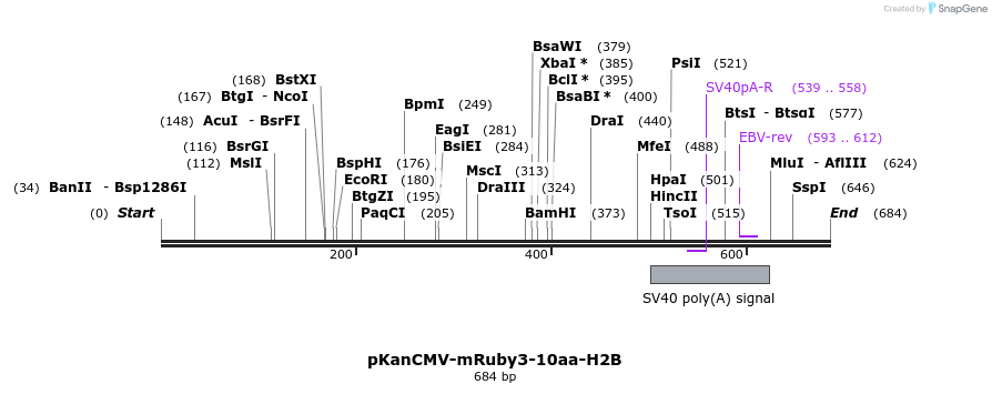 141072_map