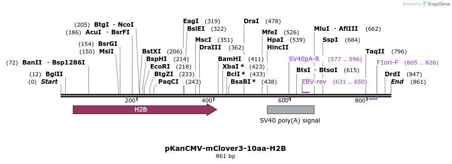 141073_map