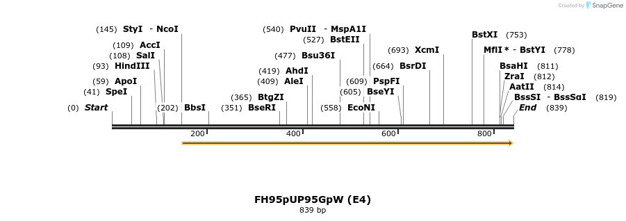 141078_map