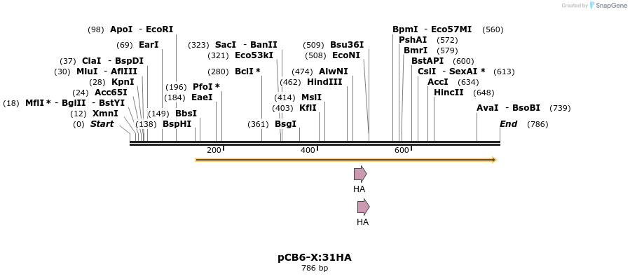 141080_map