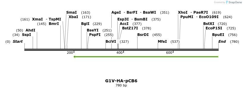 141082_map