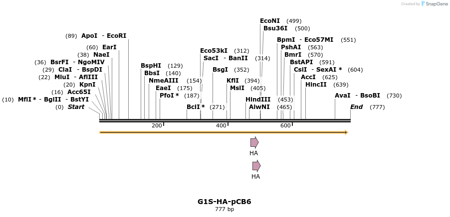 141085_map