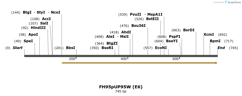 141089_map