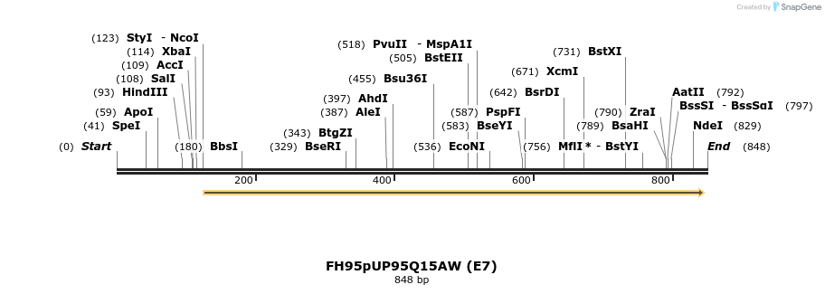 141090_map
