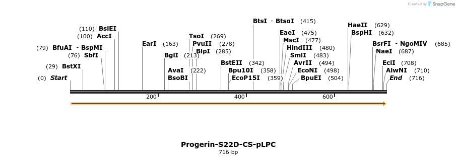141092_map