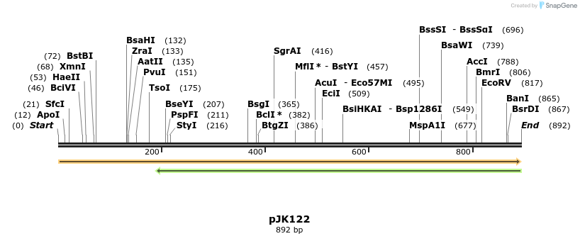 141095_map