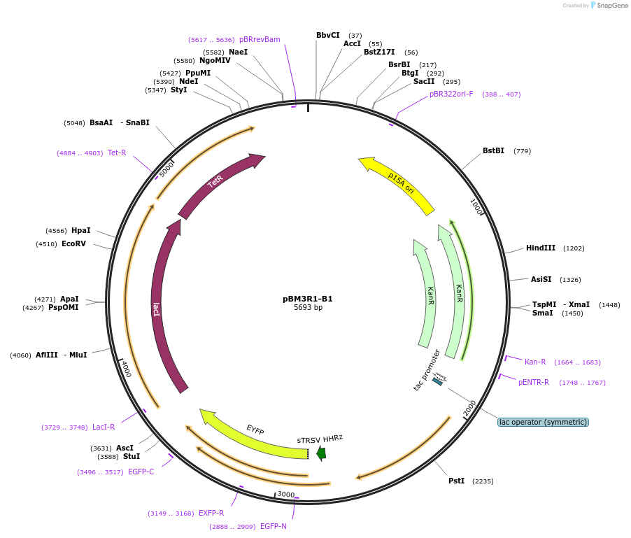 141102_map