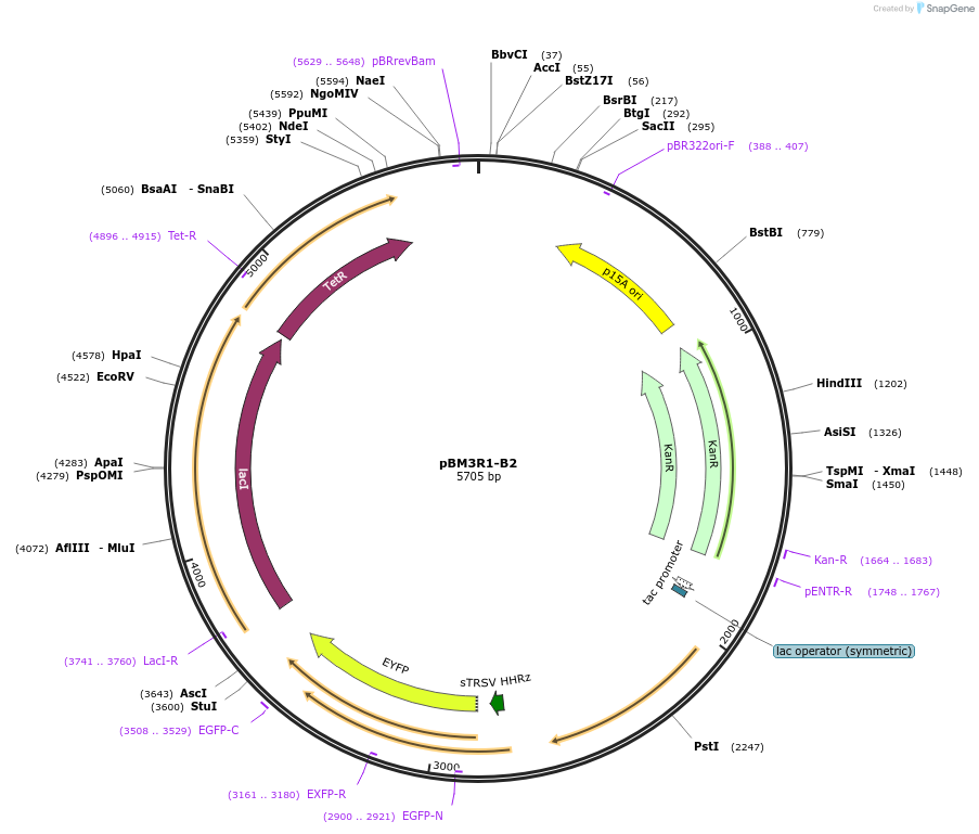 141103_map