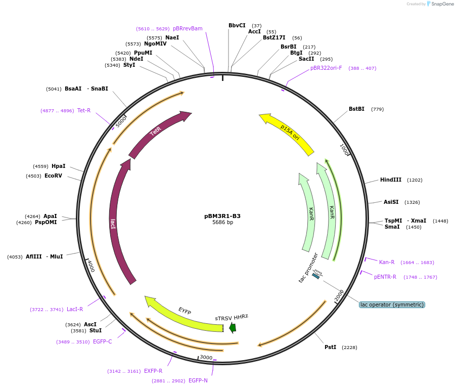 141104_map