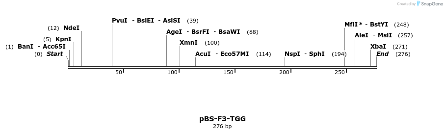 14111_map