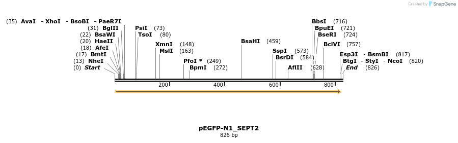 141117_map
