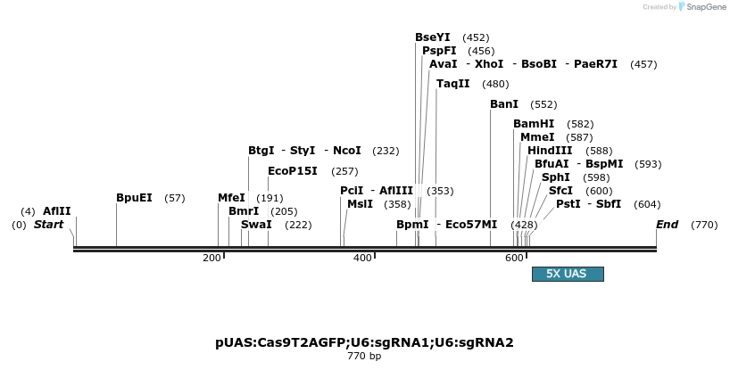 141119_map