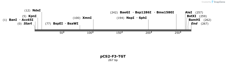 14112_map