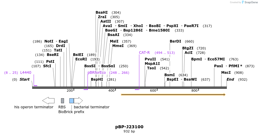 141122_map