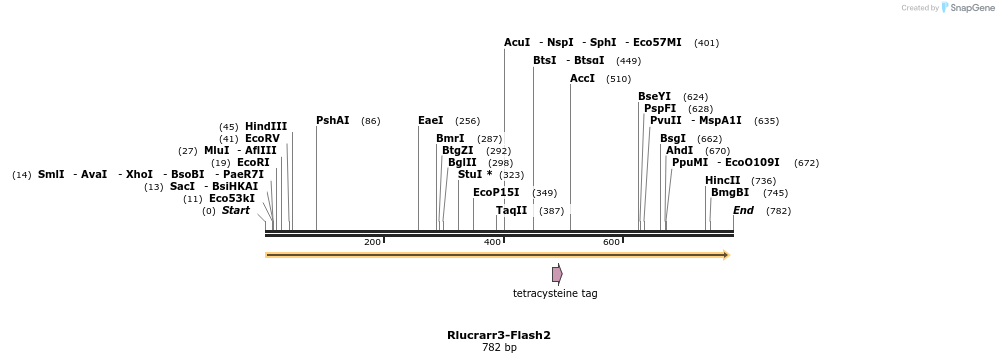 141124_map