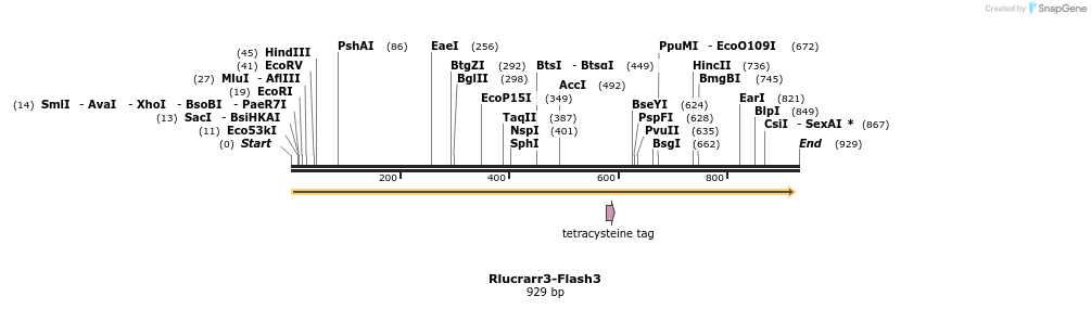 141126_map