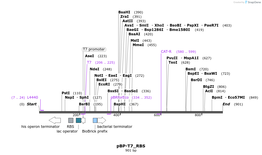 141127_map