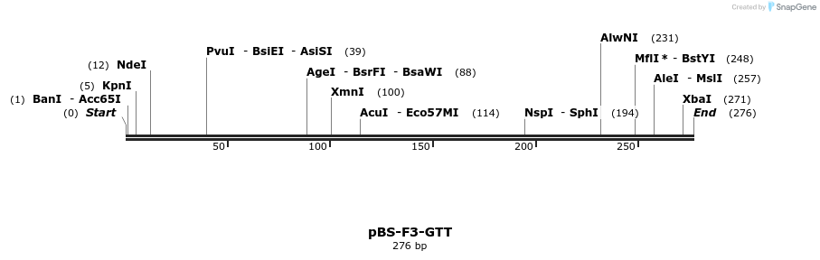14113_map