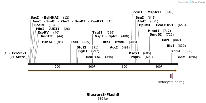 141133_map