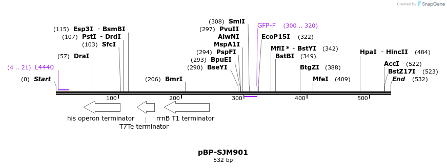 141134_map