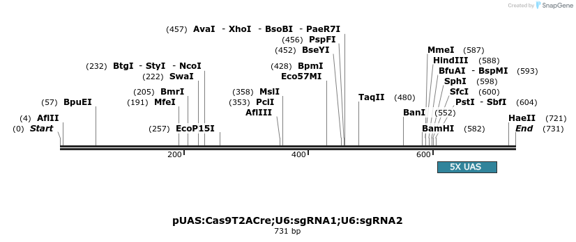141139_map