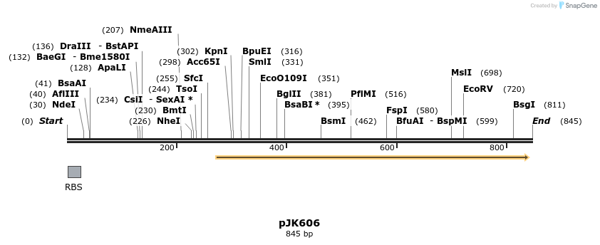 141143_map
