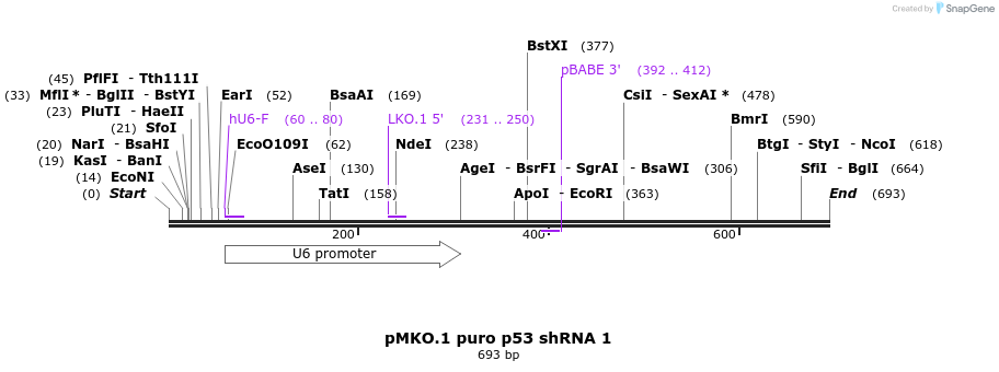 141148_map