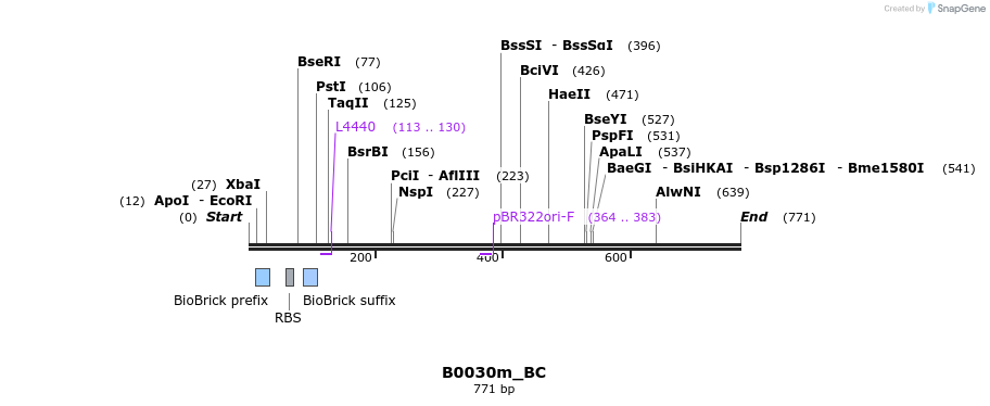 141150_map