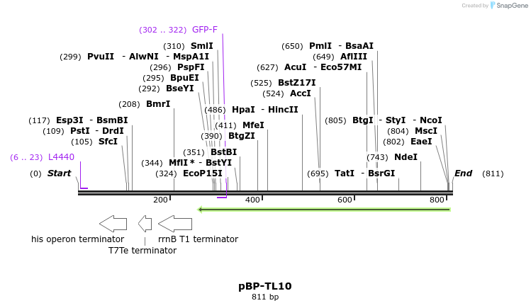 141153_map