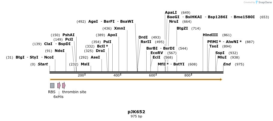 141154_map