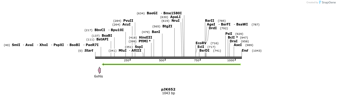 141155_map