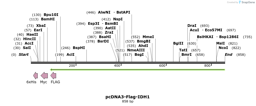 141166_map