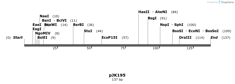 141176_map