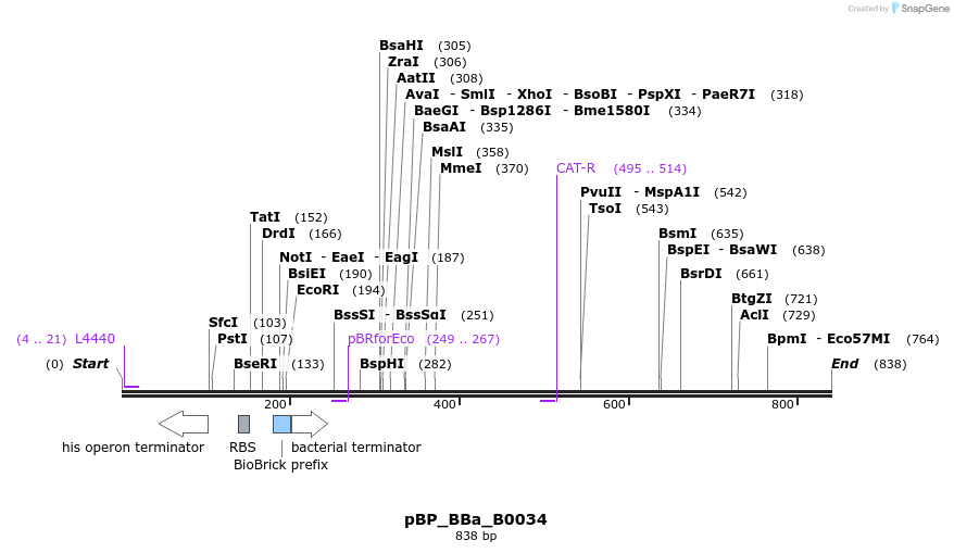 141178_map