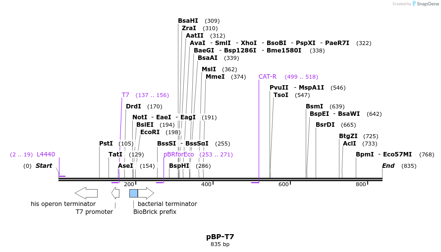 141180_map