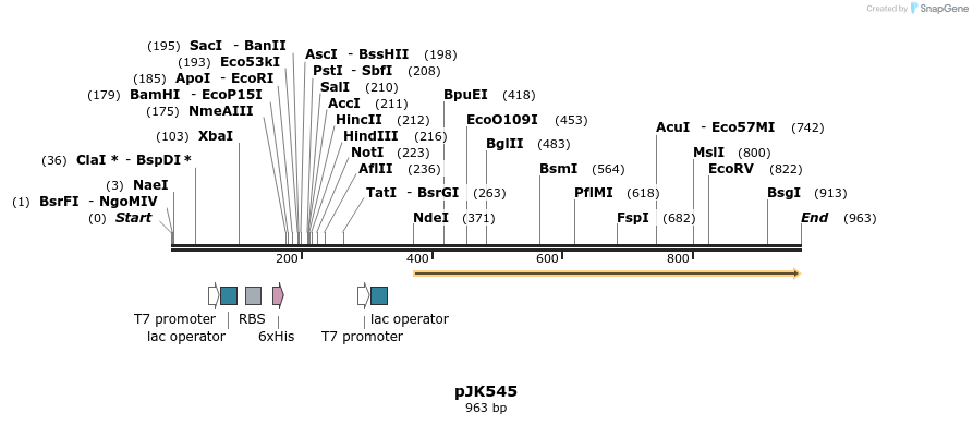 141182_map