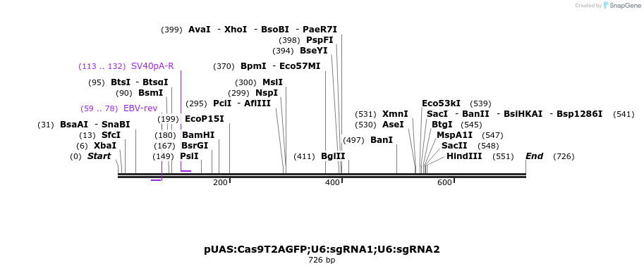 141184_map