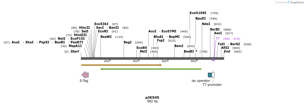 141185_map
