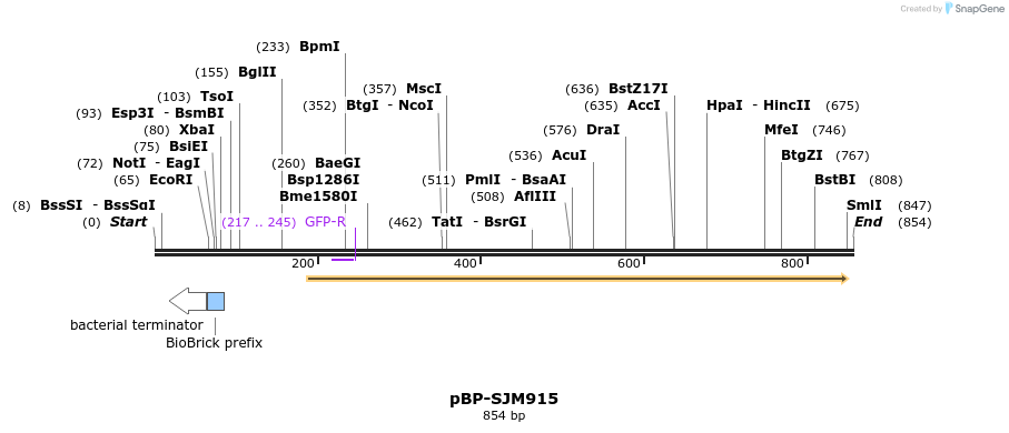 141186_map