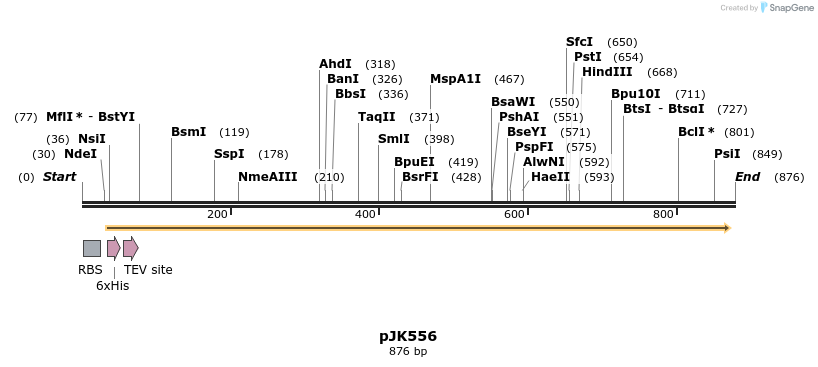 141190_map